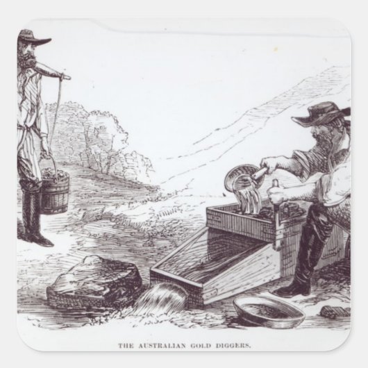 De Australische Gold Diggers Vierkante Sticker (Voorkant)