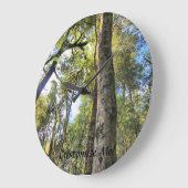 De Australische Gombomen van de Eucalyptus van het Grote Klok (Hoek)