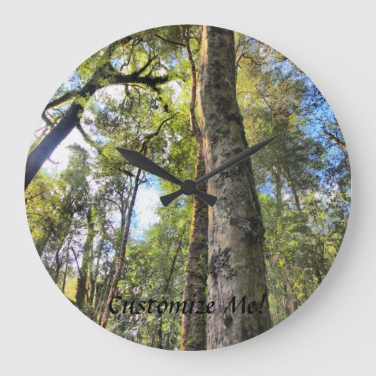 De Australische Gombomen van de Eucalyptus van het Grote Klok (Voorkant)