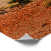 De Australische outback Poster (Hoek)