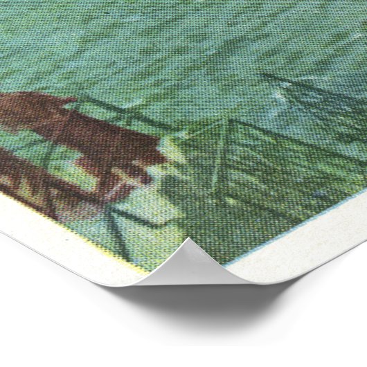 De auto van de Kabel die de Whirlpool kruist Poster (Hoek)