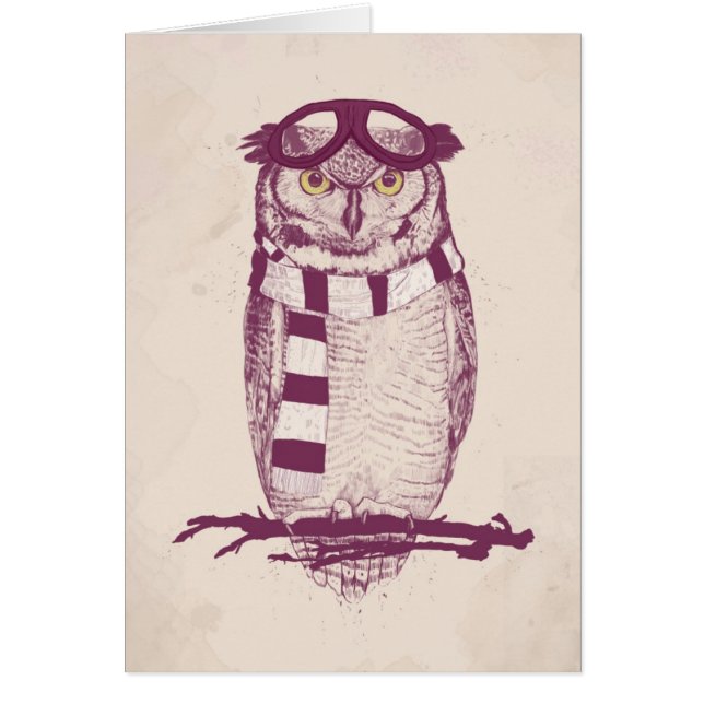 De aviator (Voorkant)