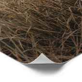 De avond voor de repetitie diner poster om te kade (Hoek)