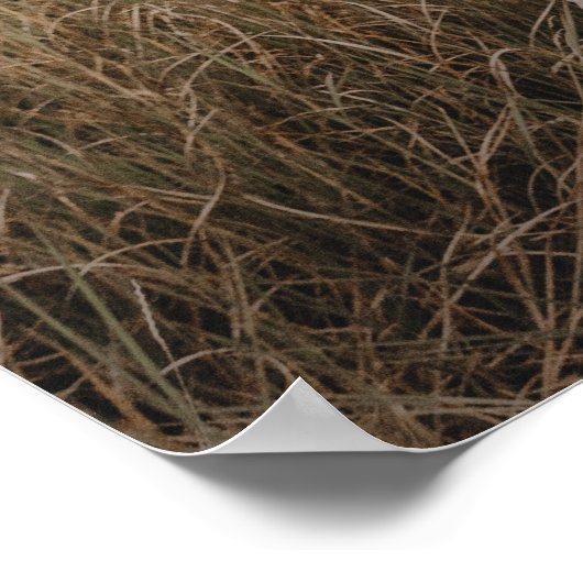 De avond voor de repetitie diner poster om te kade (Hoek)