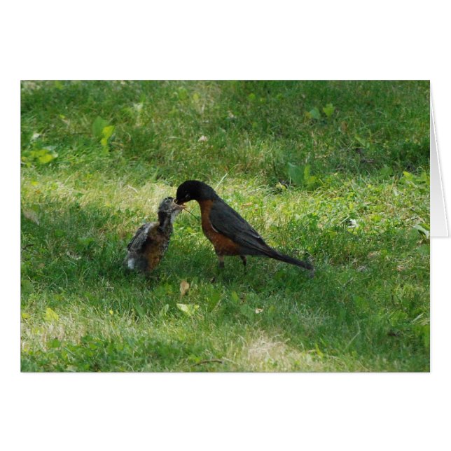 De avondeten. (Voorkant Horizontaal)