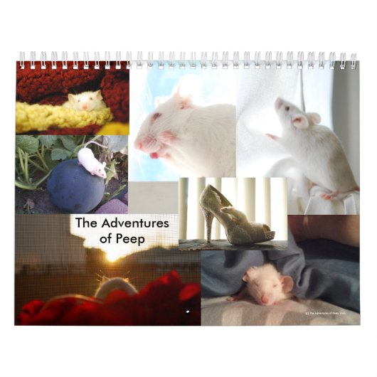 De avonturen van Peep Calendar Kalender (Hoes)