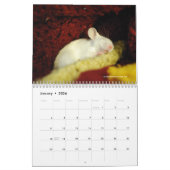 De avonturen van Peep Calendar Kalender (Jan 2026)