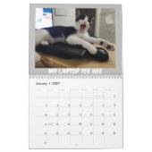 De avonturen van Skunky Luke Kalender (Jan 2027)