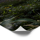 De Azure Rail Perfect Poster (Hoek)