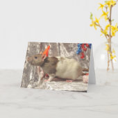 De b-Dag van de rat kaart (Gele Bloem)