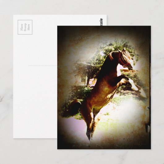 De baai briefkaart (Voorkant / Achterkant)