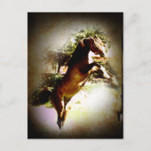 De baai briefkaart (Voorkant)