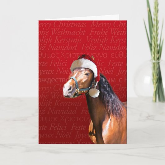 De Baai van de vakantie Feestdagen Kaart (Voorkant)