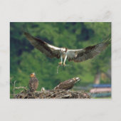 De baan wissen briefkaart (Voorkant)