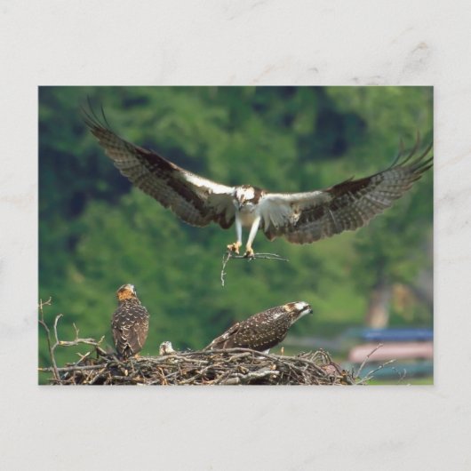 De baan wissen briefkaart (Voorkant)