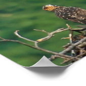 De baan wissen poster (Hoek)