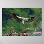 De baan wissen poster (Voorkant)