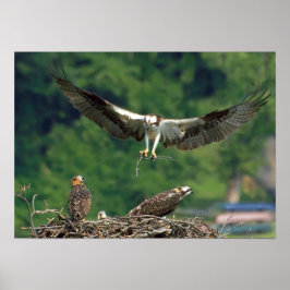 De baan wissen poster