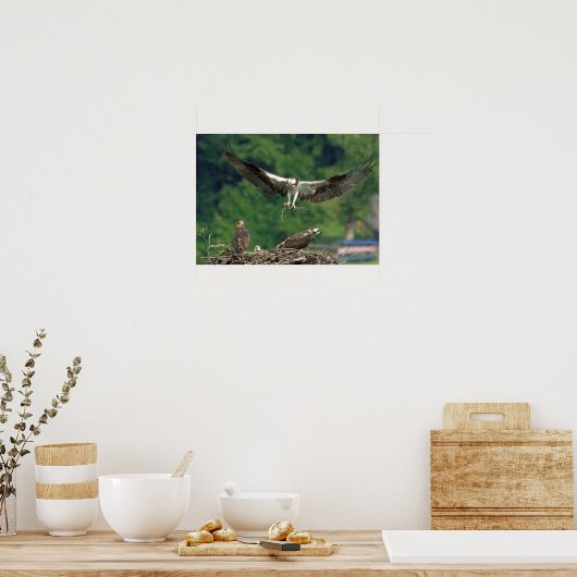 De baan wissen poster (Keuken)