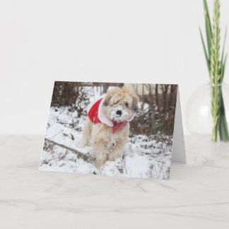 De Baard van de sneeuw Feestdagen Kaart