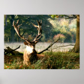 De baas poster (Voorkant)