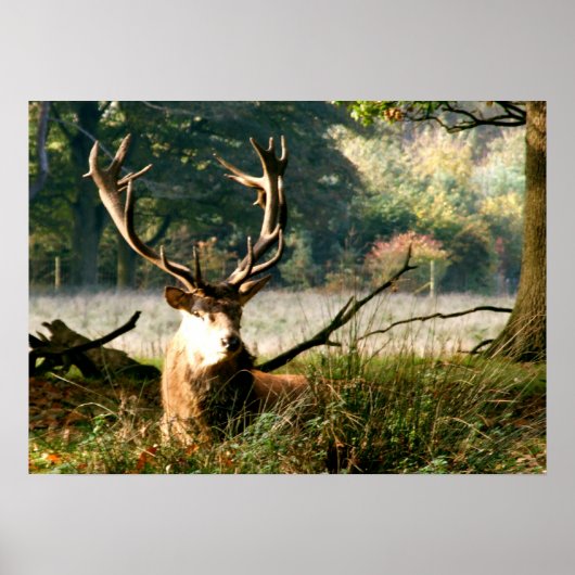 De baas poster (Voorkant)