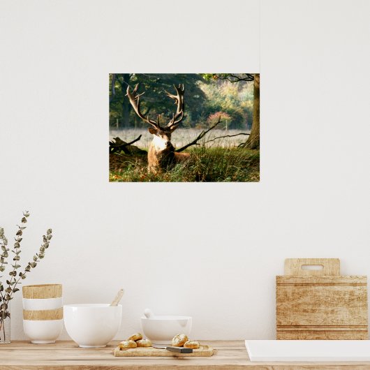 De baas poster (Keuken)