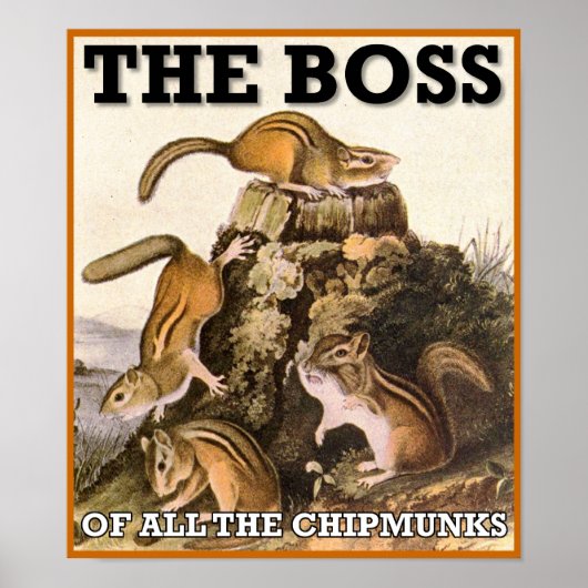 De Baas Van Alle Wangzangers Poster Bord (Voorkant)
