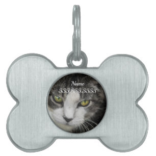 De Baby Look Pet Tag Huisdieren Naamplaatje