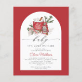 De Baby van de begroting het is Koude Buiten Baby  Flyer (Voorkant)