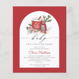 De Baby van de begroting het is Koude Buiten Baby  Flyer