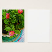 De Baby van de tuin het Plant van de Zon van het R Visitekaartje (Voorkant /achterkant)