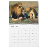 De baby's in het wild redden kalender (Mar 2027)