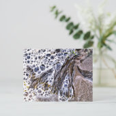 DE BACK, ZEEWEEK, WATER EN ZAND BRIEFKAART (Staand voorkant)