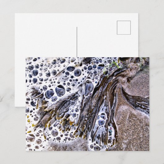 DE BACK, ZEEWEEK, WATER EN ZAND BRIEFKAART (Voorkant / Achterkant)