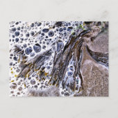 DE BACK, ZEEWEEK, WATER EN ZAND BRIEFKAART (Voorkant)