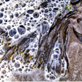 DE BACK, ZEEWEEK, WATER EN ZAND LATTE MOK