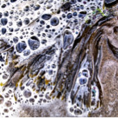 DE BACK, ZEEWEEK, WATER EN ZAND TEGELTJE