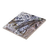 DE BACK, ZEEWEEK, WATER EN ZAND TEGELTJE (Zijkant)