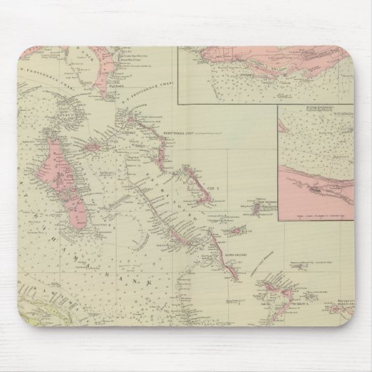 De Bahama's Muismat (Voorkant)