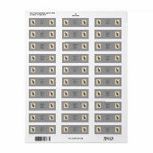 De Bald Eagle (Haliaetos leucocephalus) Etiket (Full Sheet)