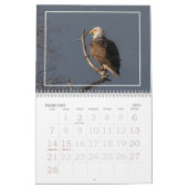 De Bald Eagle Kalender (Feb 2027)