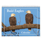 De Bald Eagle Kalender (Hoes)
