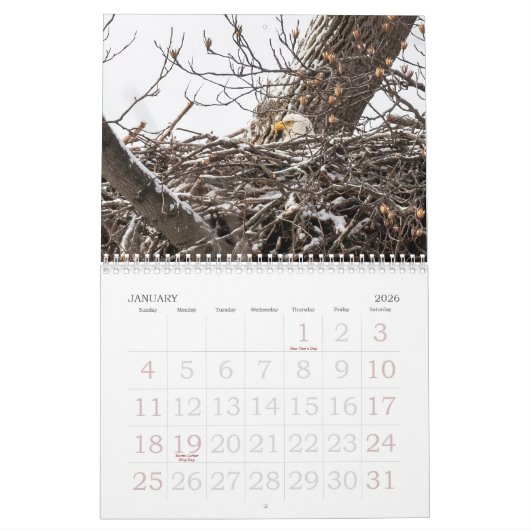 De Bald Eagle Kalender (Jan 2026)