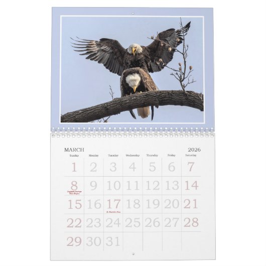 De Bald Eagle Kalender (Mar 2026)