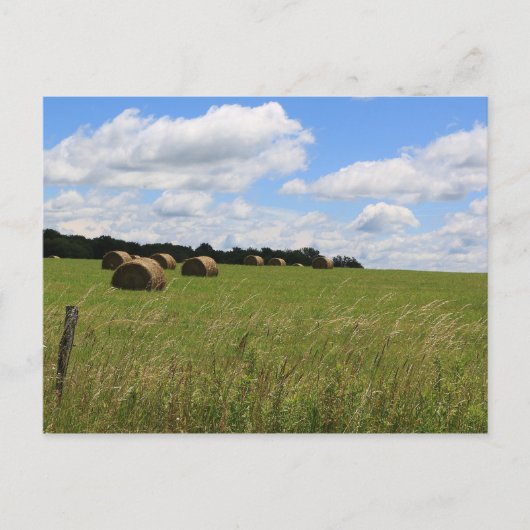 De balen van de zomer 2 briefkaart (Voorkant)