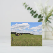 De balen van de zomer 2 briefkaart (Staand voorkant)