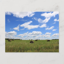 De balen van de zomer 3 briefkaart