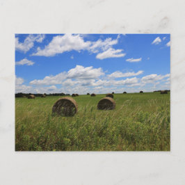 De Bales van de zomer Briefkaart