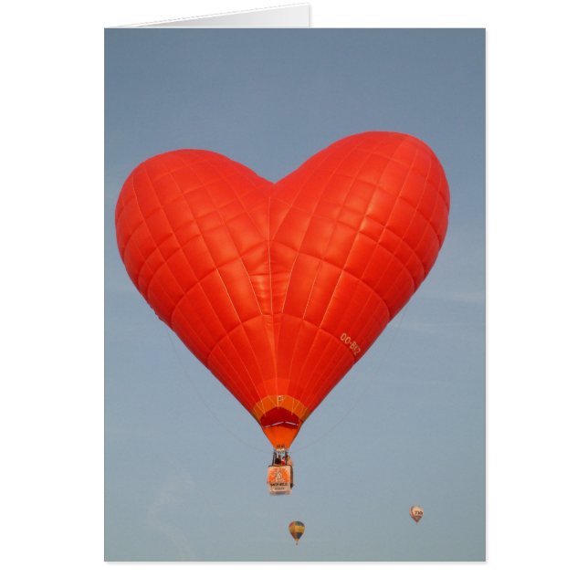 De ballonliefde is in de lucht (Voorkant)